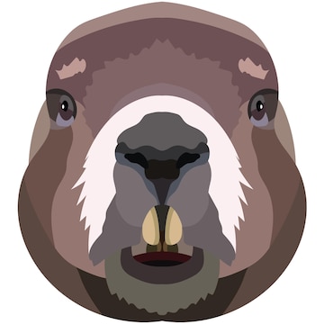 a face do uma capivara. a ilustração do a focinho do uma ampla roedor é  retratado. brilhante retrato em uma branco fundo. vetor gráficos. animal  logotipo. 20332959 Vetor no Vecteezy