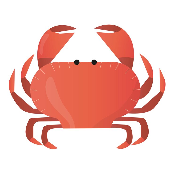 Vetor caranguejo vermelho com grandes garras em um fundo branco