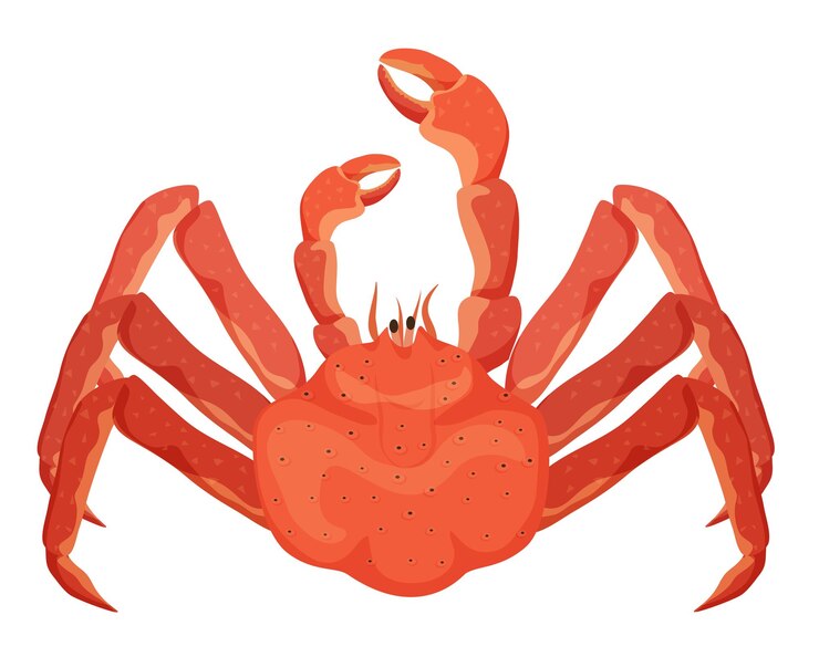 Vetor caranguejo vermelho de frutos do mar