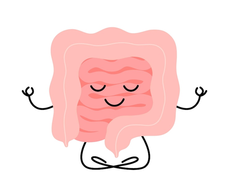 Vetor caráter feliz intestino saudável meditação ioga relaxamento saúde órgão intestinal sentar-se em lótus manter a calma