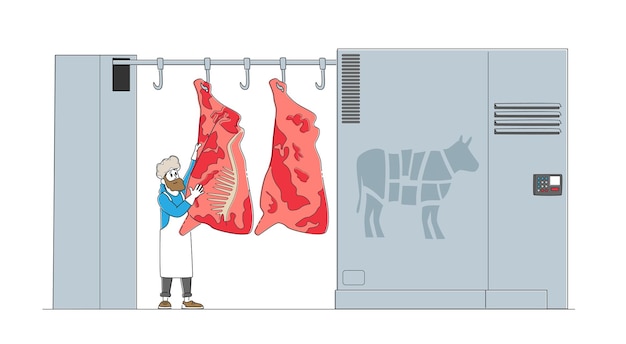 Caráter masculino do carniceiro fica na carcaça da vaca crua pendurar no gancho na fábrica de carne com equipamento automatizado para a produção de carne.