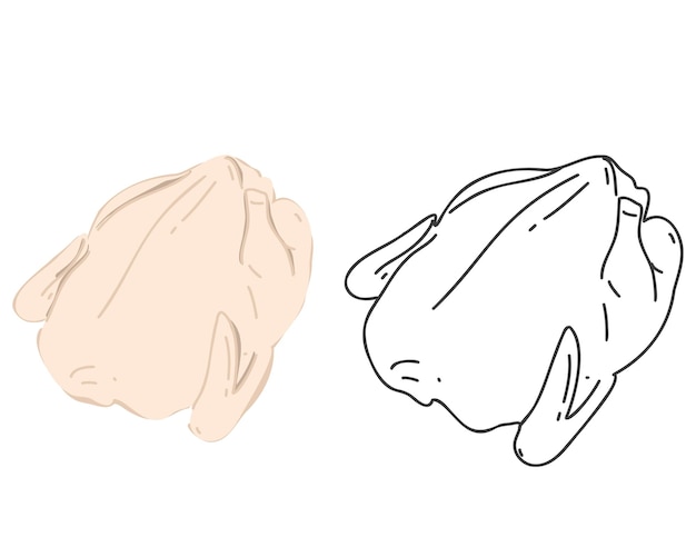 Carcaça de carne de frango fresco em um fundo branco. estilo simples e doodle ou desenhado à mão