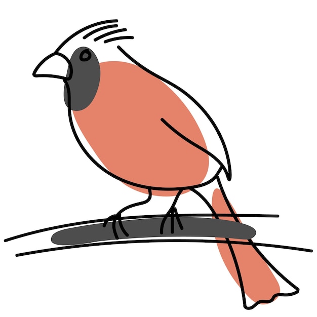 Vetor cardeal do norte masculino vermelho. elemento isolado de desenho linear à mão livre desenhado à mão. pássaro vermelho