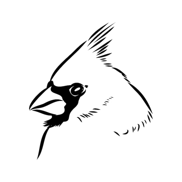 Vetor cardeal pássaro desenho ilustração vetorial desenhado à mão cardeal vermelho ilustração gravada cardeal