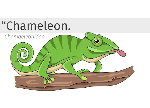 Caricatura de camaleão em cima de uma ilustração de ramo