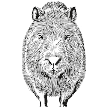 Capivara realista vector ilustração animal desenhada à mão capivaras