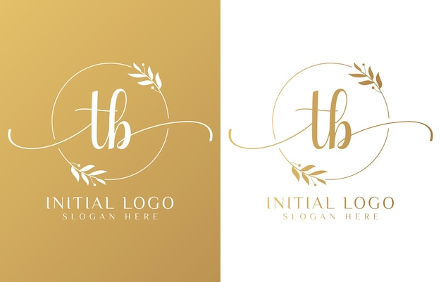 Vetor carta tb beauty logotipo com ornamento florescente