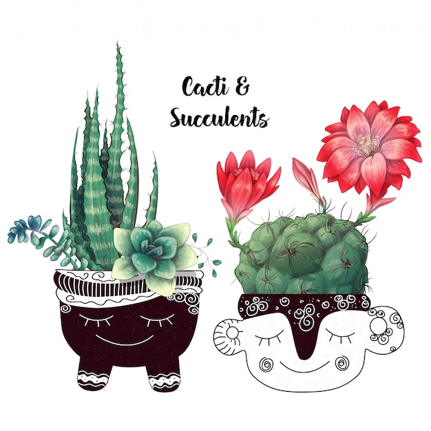 Cactus Set Cactus Text Padrões Sem Costura Succults Art Cactos Fundo Floral  Imprimir Vetor De Cartaz Ilustração Stock - Ilustração de jogo, suculentos:  159765908