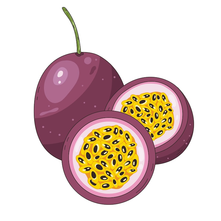 Cartão de arte de ilustração de natureza de maracujá maduro
