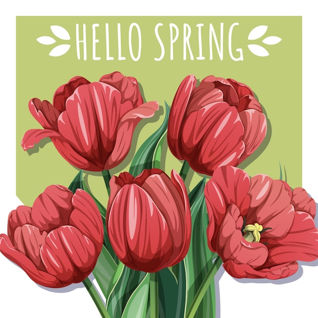 Cartão de primavera quadrado com tulipas vermelhas e vegetação fresca desenho floral para o dia das mães e sazonal