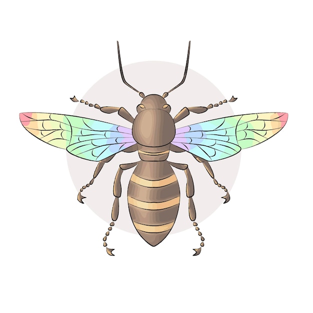 Cartão postal corolful desenhado à mão do inseto da abelha do mel