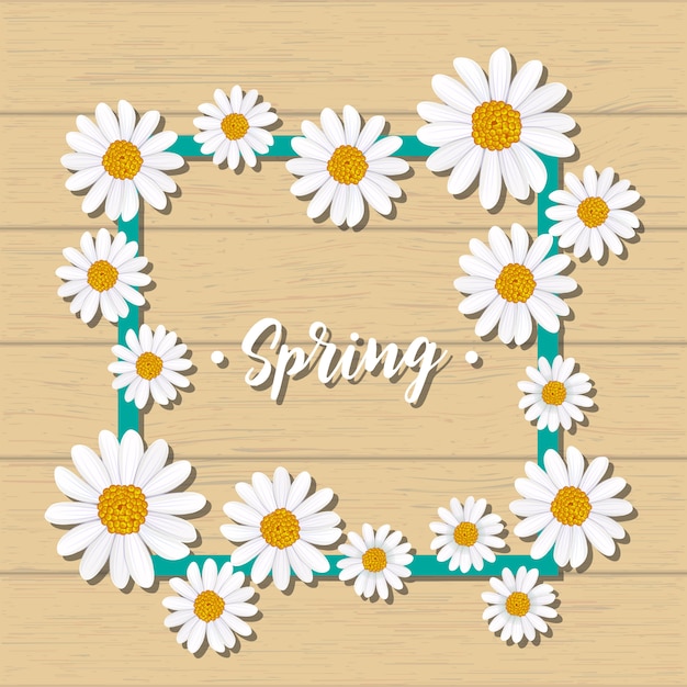Vetor cartão primavera com camomila florescendo