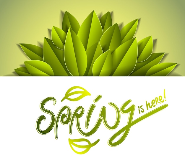 Vetor cartão sazonal de primavera com folhas verdes frescas, desenho vetorial feito em estilo realista de corte de papel.