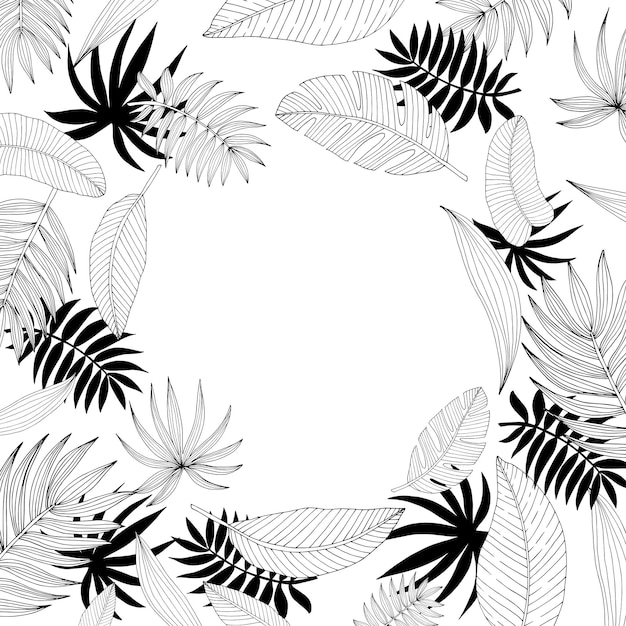 Cartaz com borda de moldura de ornamento folhas tropicais desenhadas à mão de esboço preto em um quadro branco