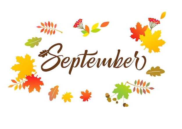 Cartaz da rede de setembro linda tipografia e folhas coloridas de outono design de cartão comemorativo