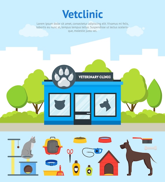 Cartaz de cartão de construção de clínica veterinária dos desenhos animados e conjunto de elementos vetor