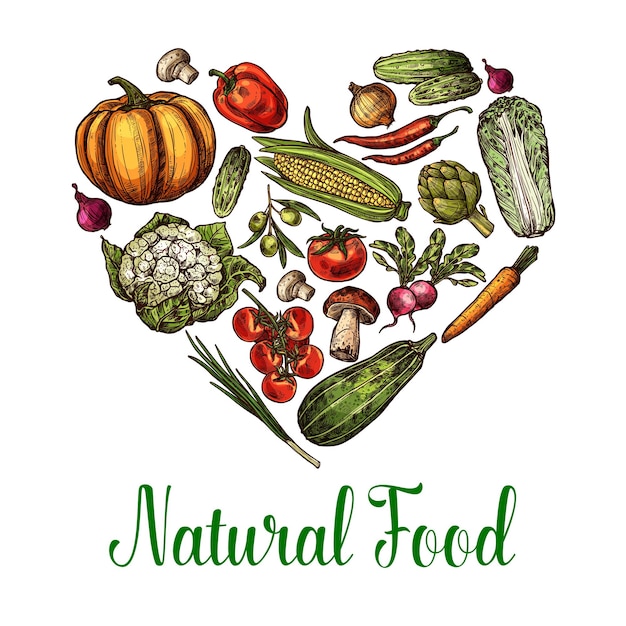 Vetor cartaz de coração de esboço de comida de vegetais naturais vetor