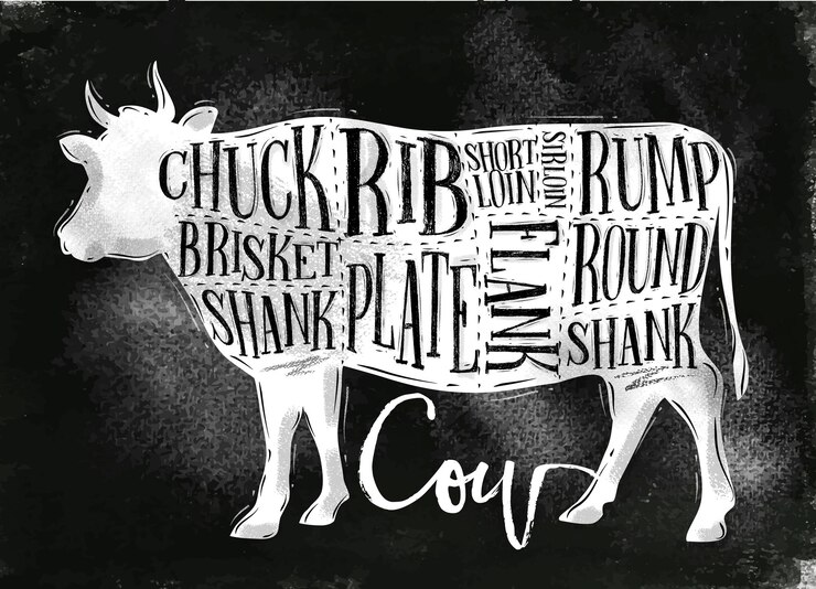 Vetor cartaz de esquema de corte de carne com rotulação mandril peito canela costela placa flanco lombo shortloin