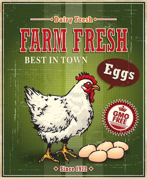 Vetor cartaz de rótulo de ovo de galinha fresca de fazenda vintage