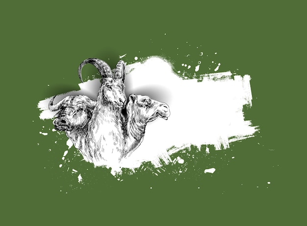 Cartaz EidalAdha para a ilustração vetorial de esboço da festa do sacrifício