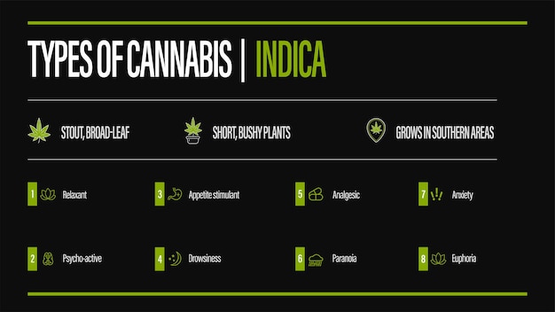 Cartaz preto de informações de tipos de cannabis com infográfico. indica