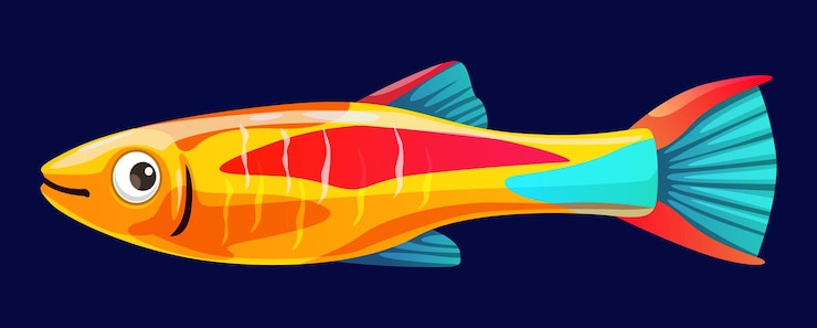 Vetor cartoon aquário neon tetra peixe vetor isolado pequeno peixe tropical vibrante de água doce com impressionante coloração azul brilhante laranja e vermelho e corpo iridescente criatura escolar pacífica