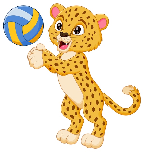 Cartoon de cheetah bonito jogando vôlei ilustração vetorial conceito de ícone de natureza animal