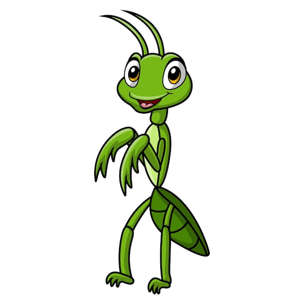 Cartoon de mantis bonito em fundo branco