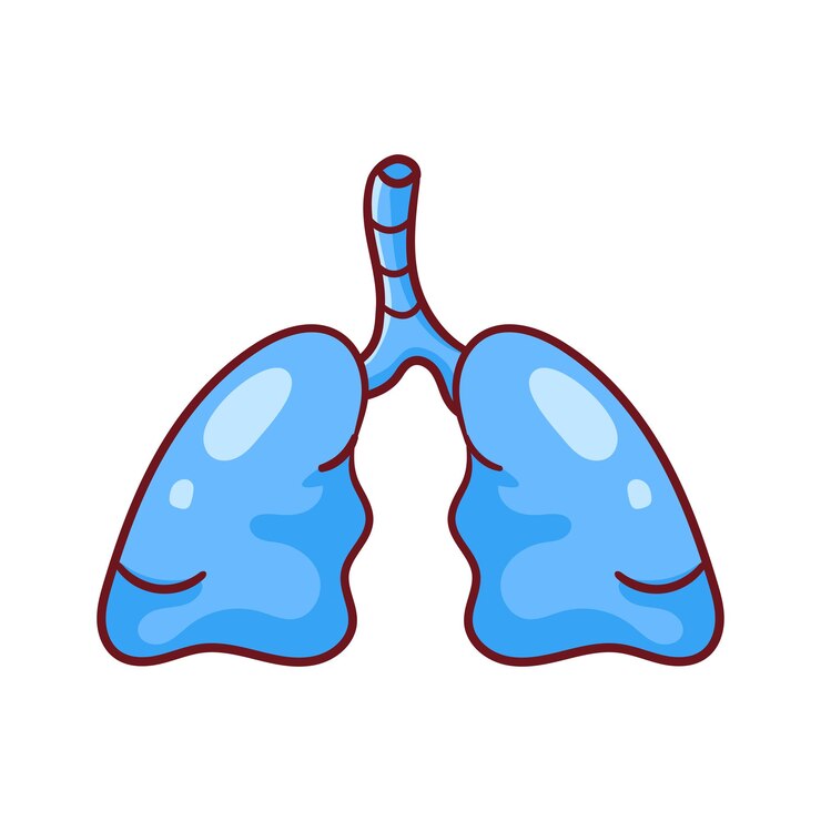 Vetor cartoon de órgãos pulmonares humanos biologia da anatomia humana sistema de órgãos do corpo cuidados de saúde e médicos