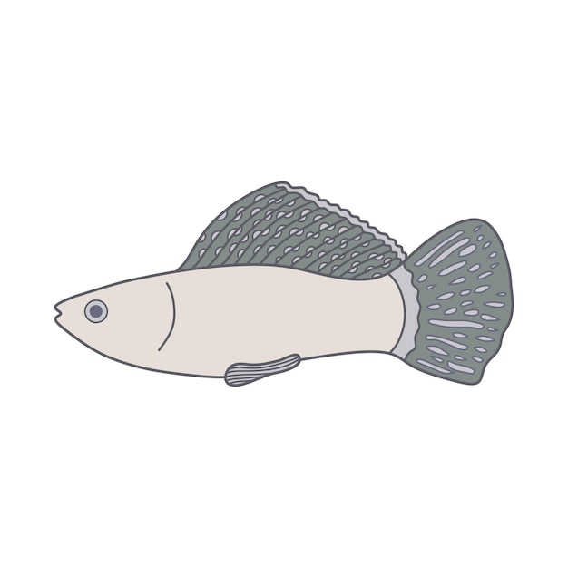 Vetor cartoon ilustração vetorial ícone de peixe molly isolado em fundo branco
