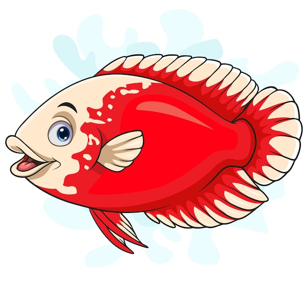 Vetor cartoon oscar vermelho peixe de paris em fundo branco