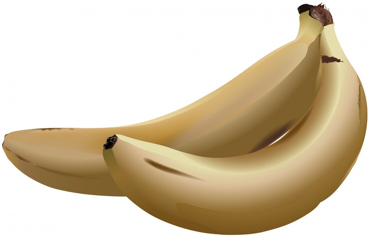 Vetor casal de bananas