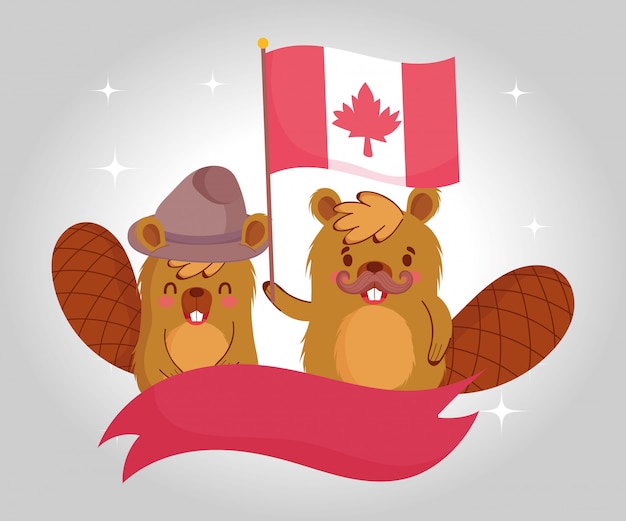 Castores com bandeira canadense e fita design