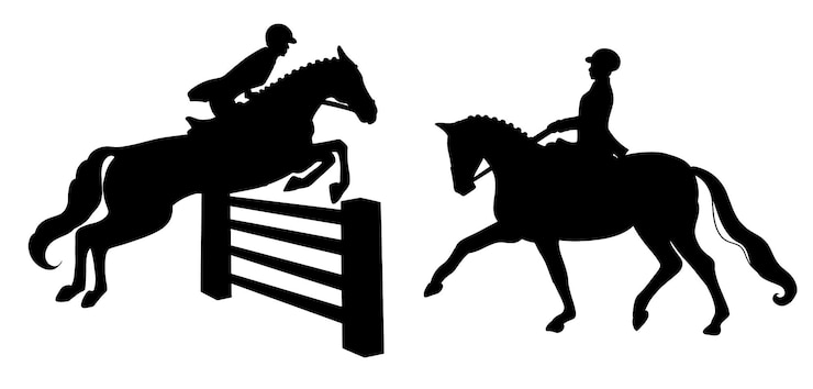 Cavalgando. Adestramento e saltos. Definir. Uma mulher montada em um cavalo executa um elemento de adestramento e salta um obstáculo.