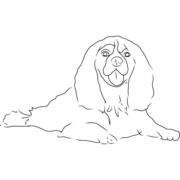 Cavalier king charles spaniel cão desenho vetorial esboçado à mão