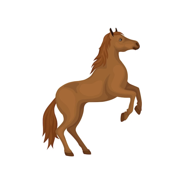 Vetor cavalo castanho erguendo-se em pé sobre as patas traseiras vista lateral animal com cascos bela crina fluente e cauda longa elemento gráfico para livros infantis design vetorial plano isolado em fundo branco