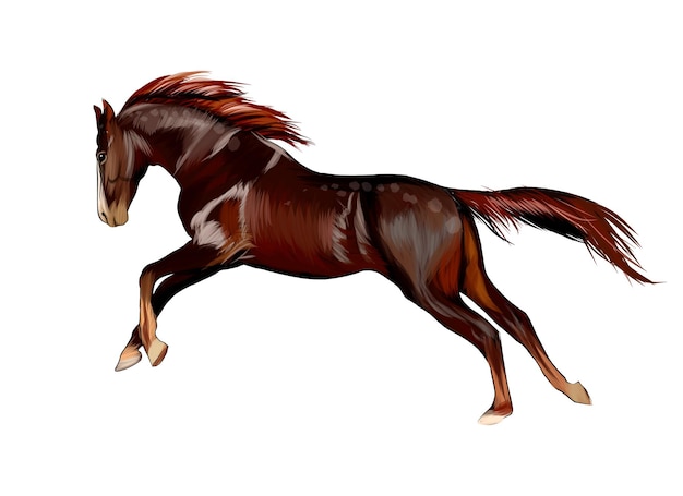 Vetor cavalo correndo a galope com respingos de aquarelas coloridas, desenho realista