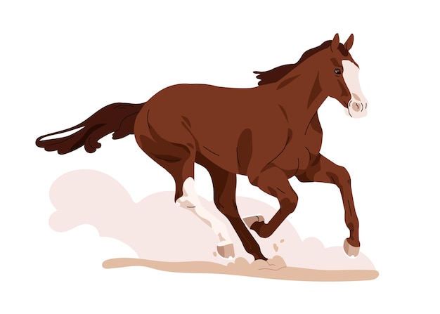 Cavalo de cavalo galopando correndo apressando correndo a alta velocidade Belos cavalos em ação em movimento com sopro de poeira Resistência equina Ilustração vetorial plana isolada em fundo branco