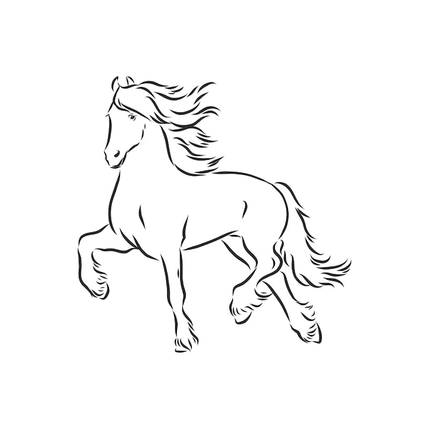 Como Desenhar Cavalo Com Ilustração De Desenho Animado Em 6 Passos Com  Fundo Branco Ilustração Stock - Ilustração de cavalo, rato: 181547373