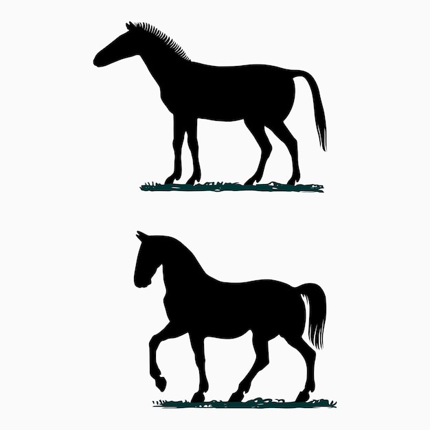 Cavalo e mustang