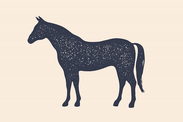 Cavalo, garanhão. conceito de animais de fazenda