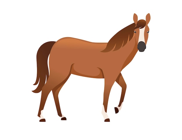 Cavalo marrom selvagem ou animal doméstico desenho ilustração vetorial plana