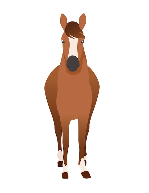 Vetor cavalo marrom selvagem ou animal doméstico desenho ilustração vetorial plana