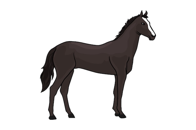 Vetor cavalo preto de sangue quente galopando sobre um vetor de fundo branco