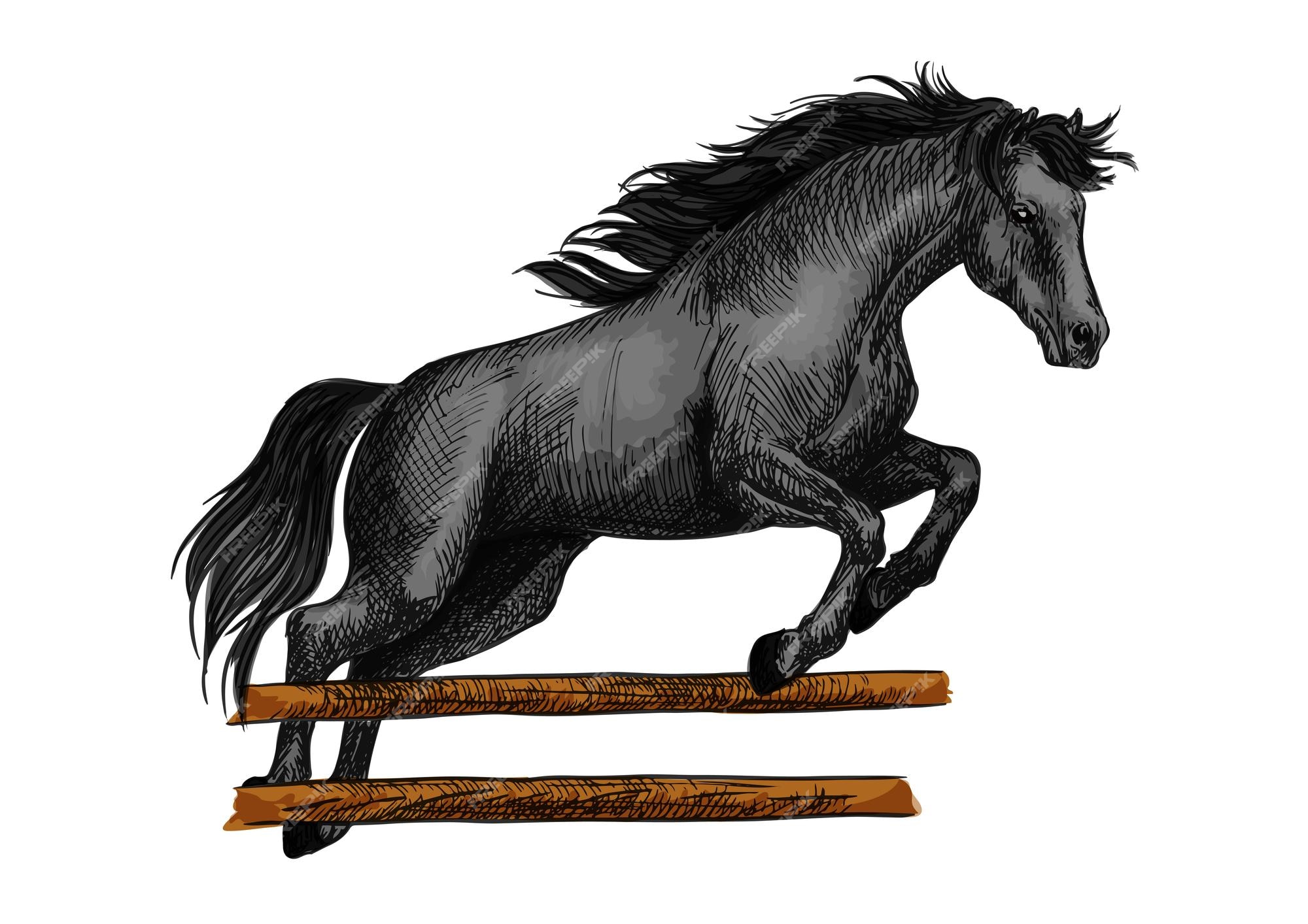 Cavalo Pulando Selim - Gráfico vetorial grátis no Pixabay - Pixabay