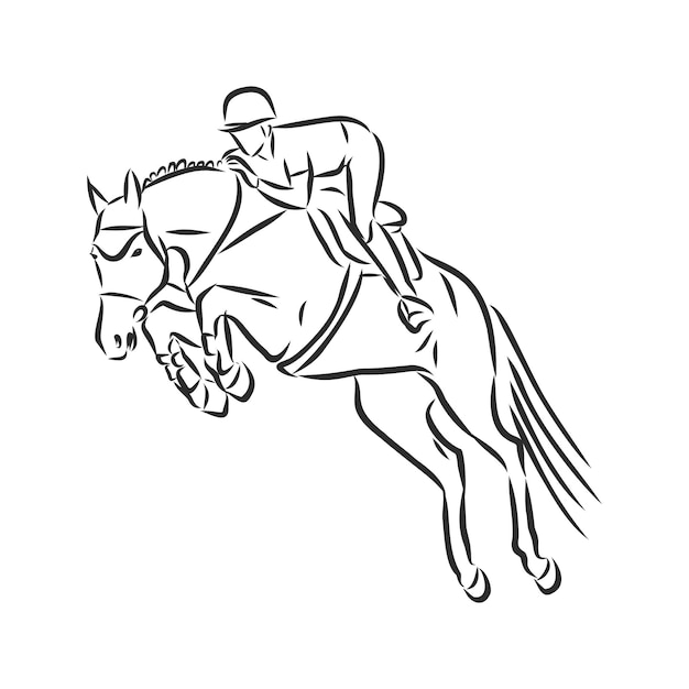 Ilustrações De Cavalos De Salto PNG , Clipart De Cavalo, Saltar