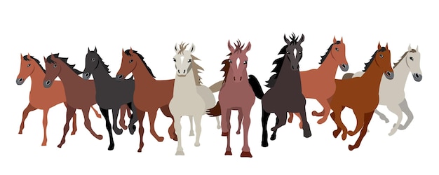 Cavalos de cores diferentes correndo para a frente vista frontal