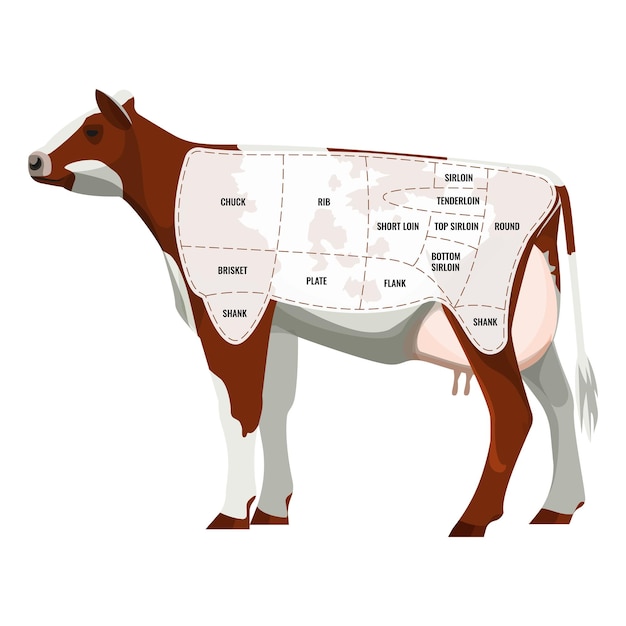 Vetor caw pedaços de bife, gado de corte dividido em ícones de departamentos isolados