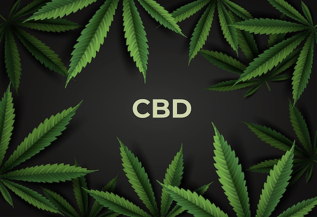 Cbd