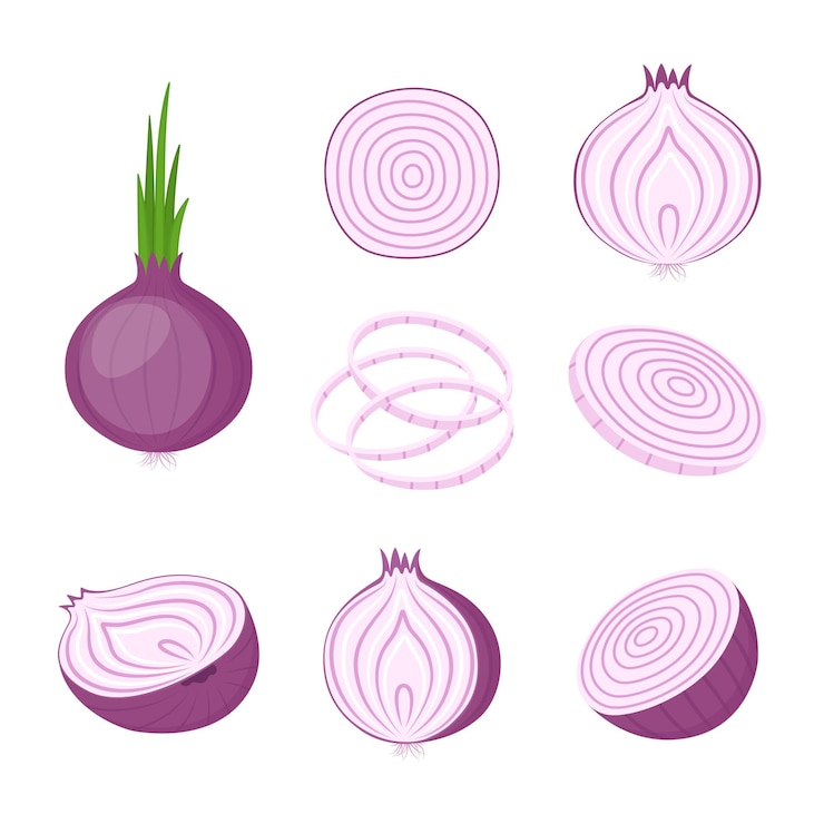 Vetor cebola roxa inteira e cortada. vegetais agrícolas, ilustração vetorial